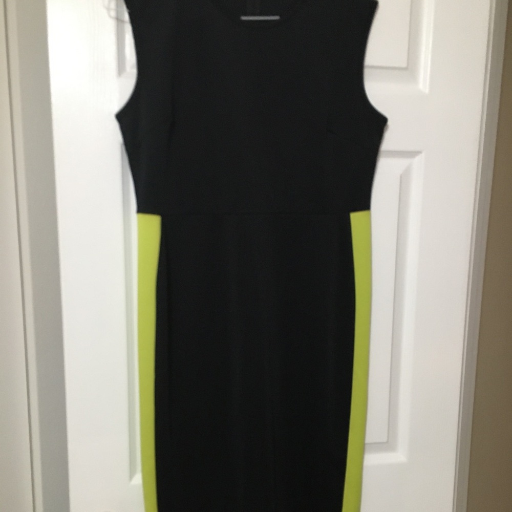 Wendy Williams Scuba dress